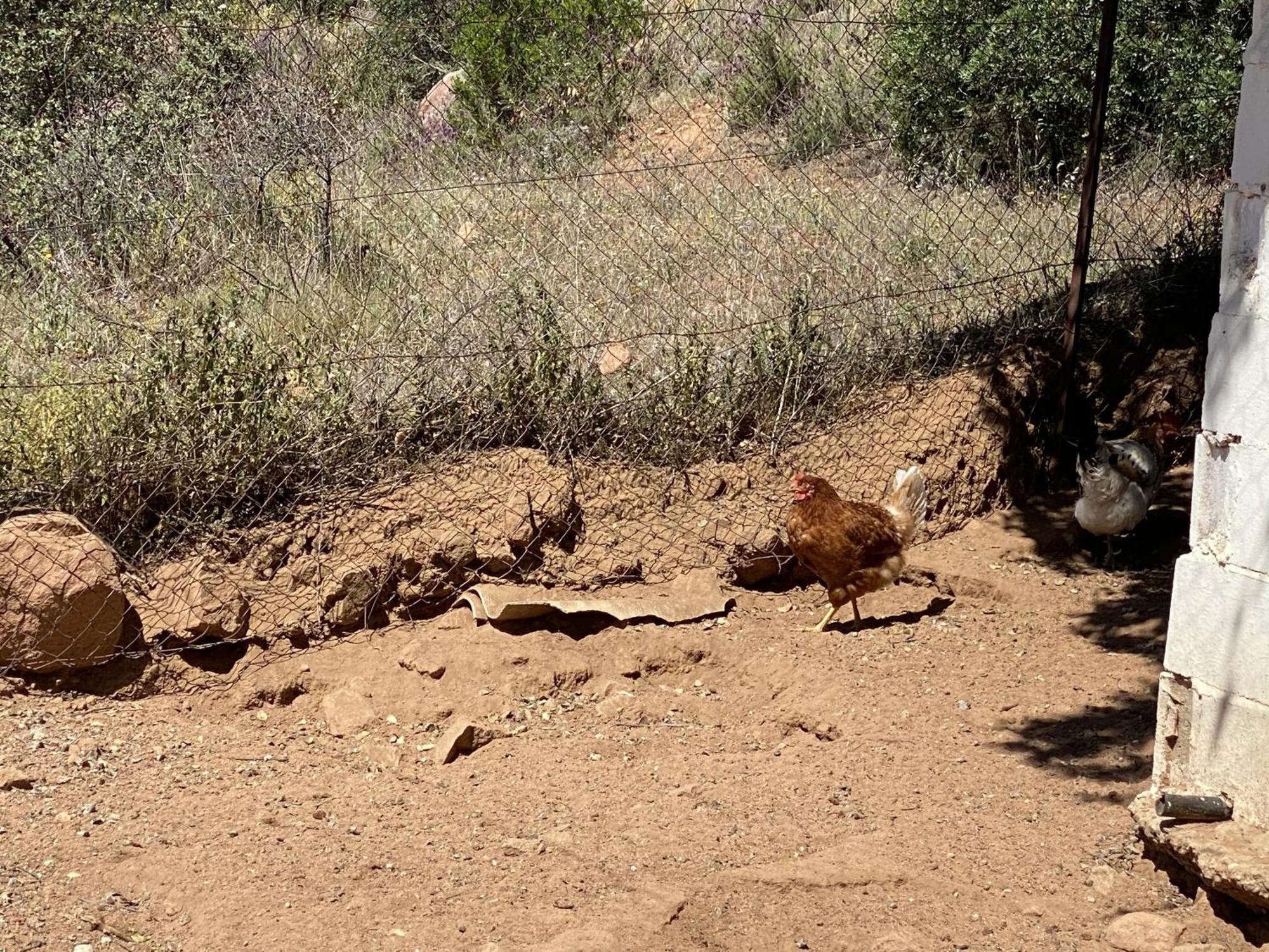 Las Chorreras Del Orejon 2 Villaviciosa de Córdoba Dış mekan fotoğraf