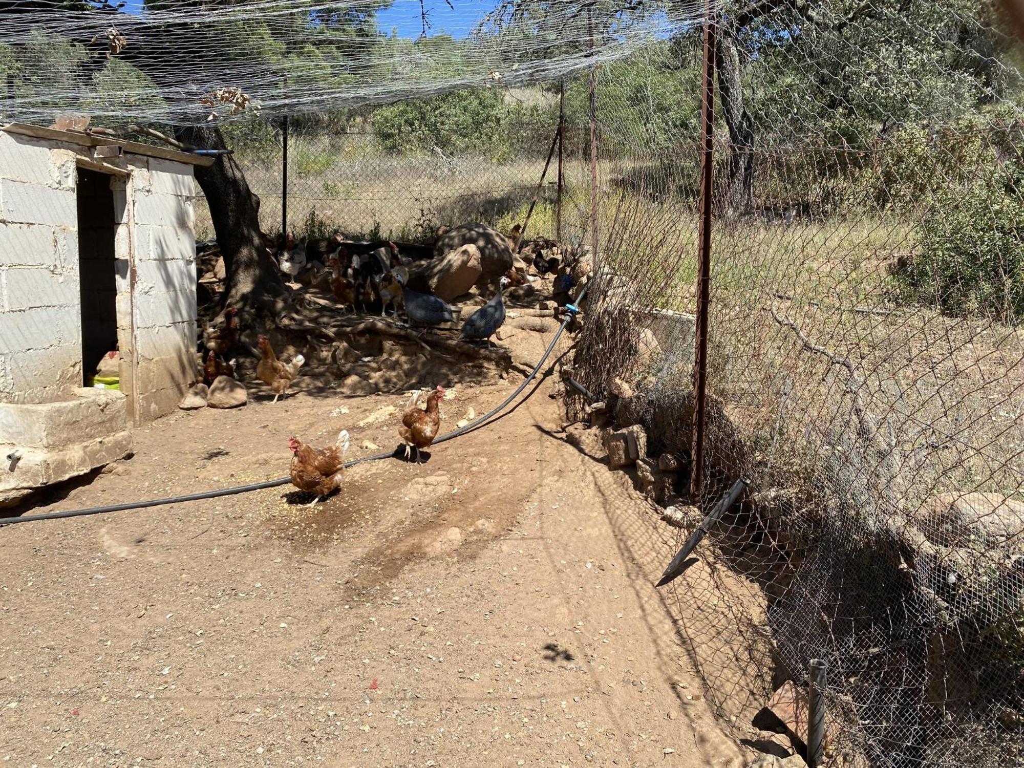 Las Chorreras Del Orejon 2 Villaviciosa de Córdoba Dış mekan fotoğraf